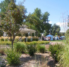 Denver's Sloan's Lake Park Festival